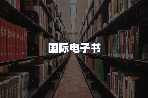 国际电子书